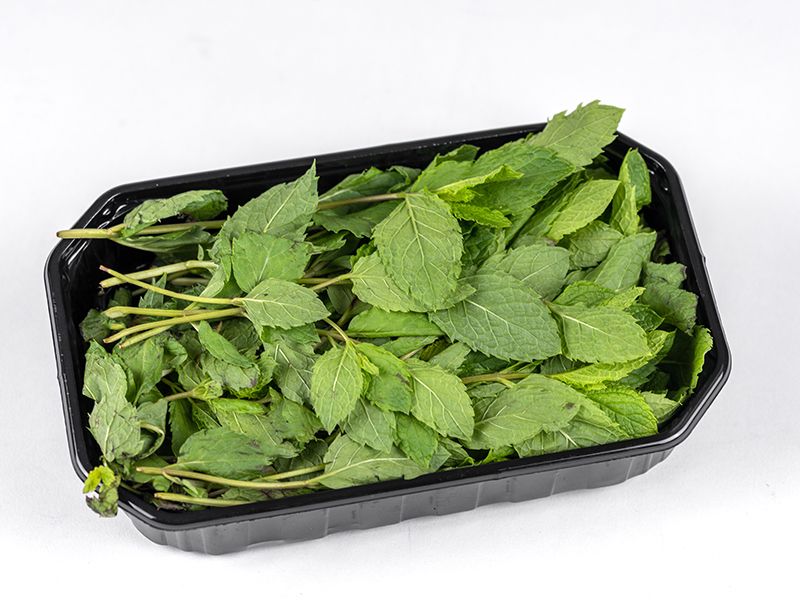 FRESC MENTA 30g Maresme