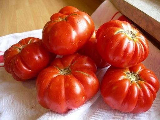 [508] FRESC TOMÀQUET MARMANDE ECO (kg) Granada