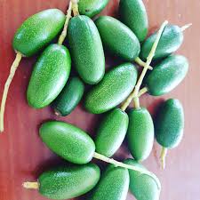 FRESC ALVOCAT DATIL ECO (KG) Montsià