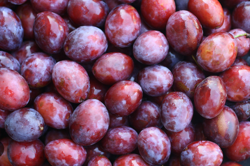 FRESC PRUNA VERMELLA MIRABOLÀ/FRESITA PROXIMITAT (KG) Terra Pagesa - Tarragonès